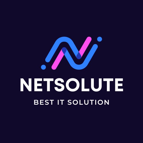 Netsolute Logo